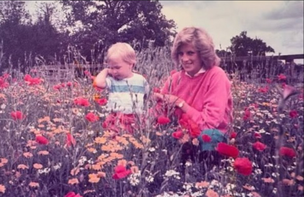 Prince William : son hommage poignant à Diana pour la fête des mères